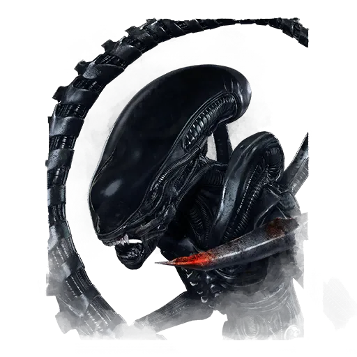 The Xenomorph Portrait